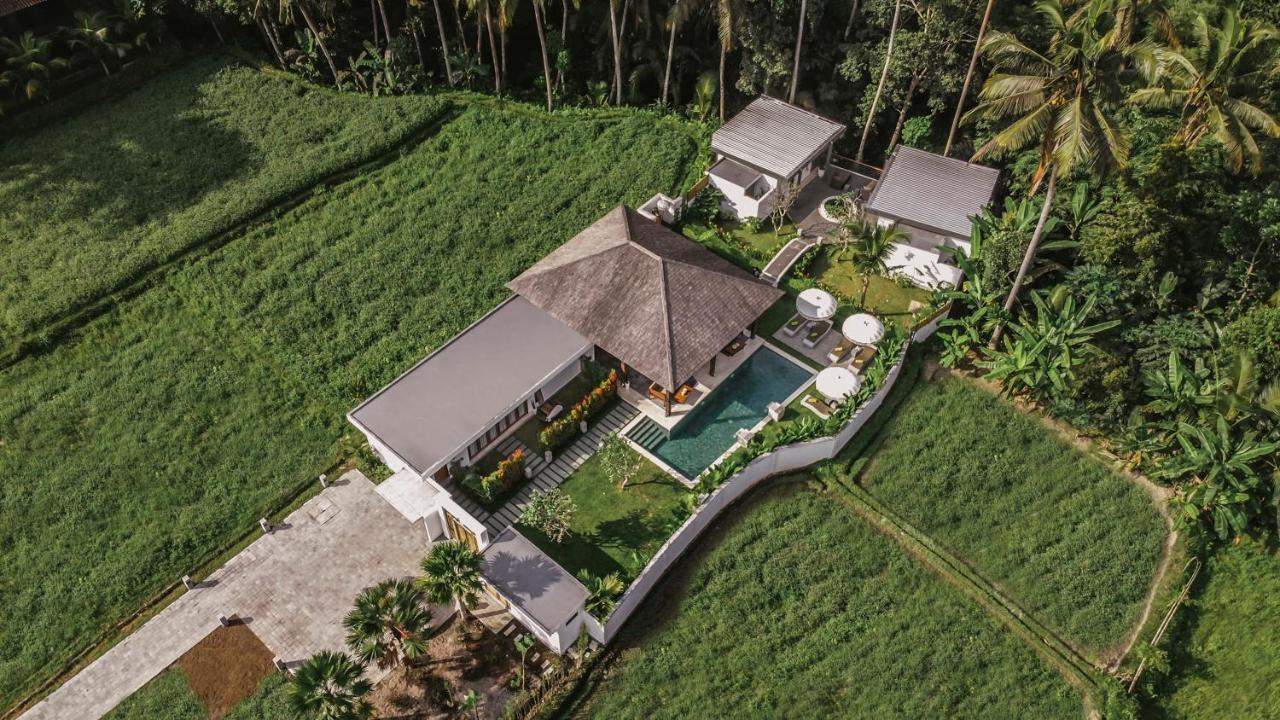 Villa Umah Shama à Ubud Extérieur photo
